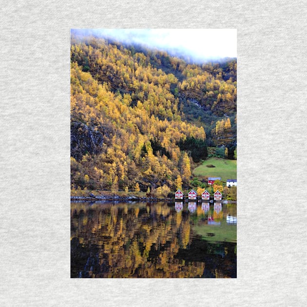 Autumn Trees Flam Aurlandsfjord Norway by Andy Evans Photos